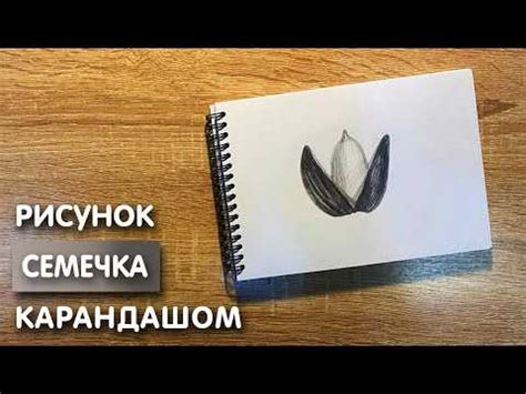 Начертание контура туловища