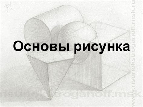 Начертание основы рисунка тростника