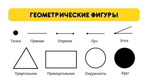 Начинаем с основы: контуры и формы