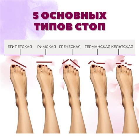 Начните с общей формы ноги и ступни