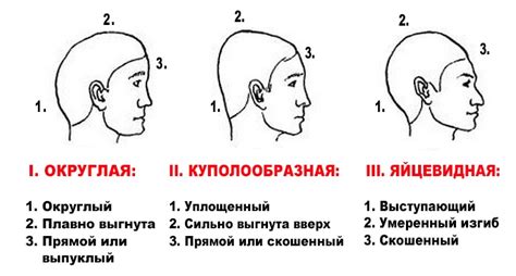 Начните с очертания головы и тела Анны