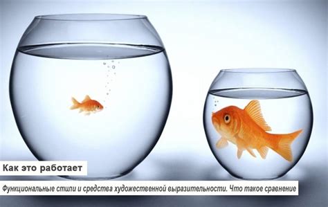 Наше сравнение и рекомендации