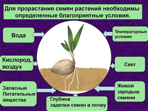 Неблагоприятные условия для прорастания семян