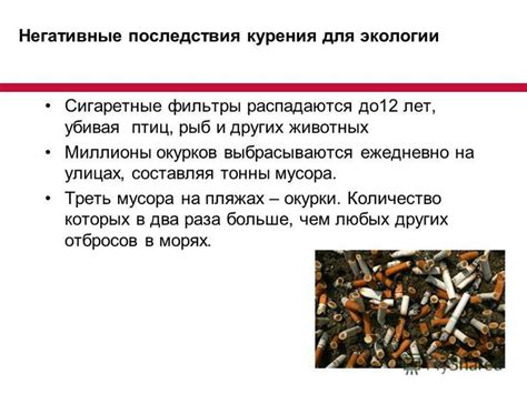 Негативные последствия оставления мусора у порога