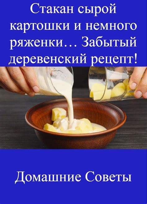 Негативные последствия от употребления сырой картошки телятами
