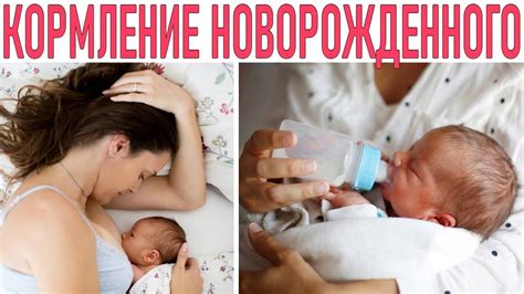 Недостатки смешанного кормления грудничка