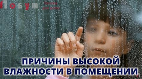 Недостаток влаги в помещении