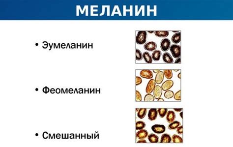 Недостаток пигмента