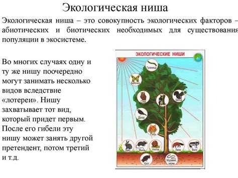 Недостаток экологических ниш