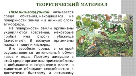Недостаточное содержание влаги в среде обитания