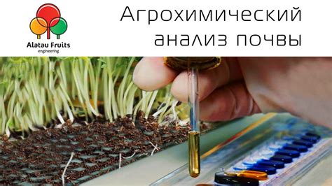 Необходимость анализа почвы