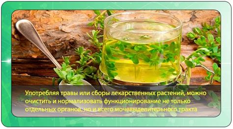 Необходимость очищения организма от токсинов