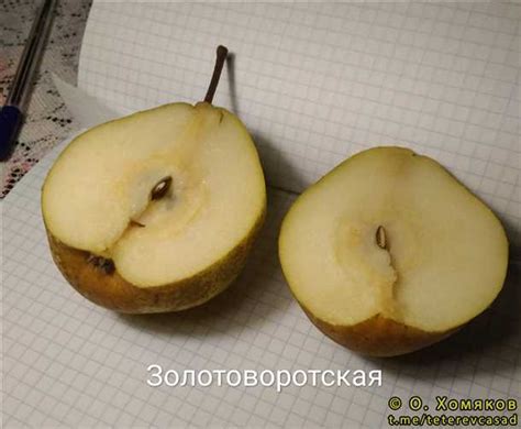 Необходимость правильного обрезания