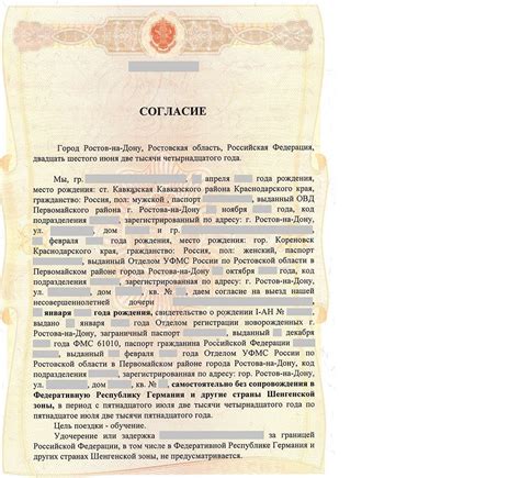 Необходимые документы для оформления запрета на выезд за границу