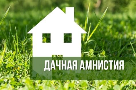 Необходимые документы для получения дачной амнистии