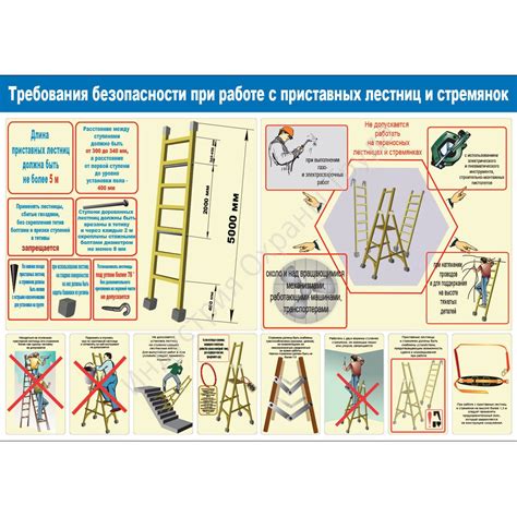 Необходимые меры безопасности при работе с деревьями на даче