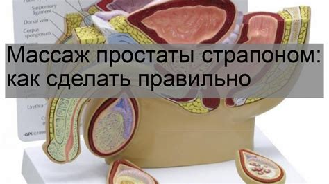 Необходимые средства для массажа простаты