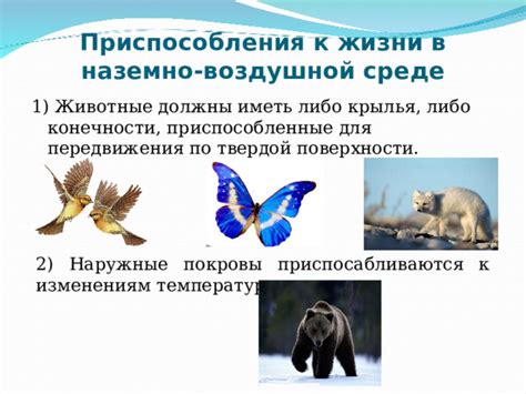 Неосознанность конечности жизни