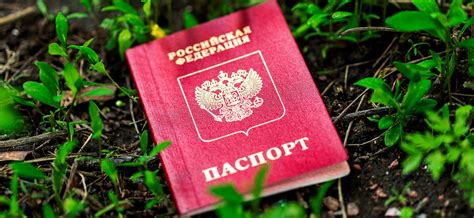 Неполная регулировка процесса выдачи паспортов