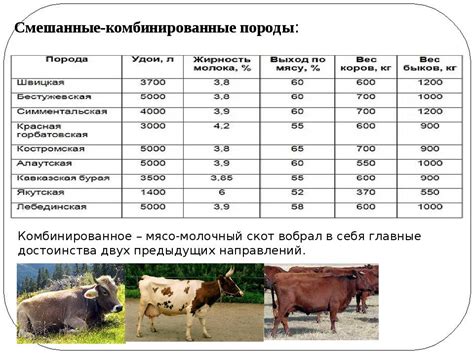 Неправильное выбор мясных пород