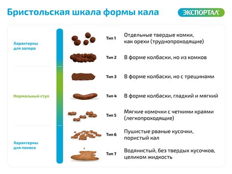 Неправильное пищеварение и запоры
