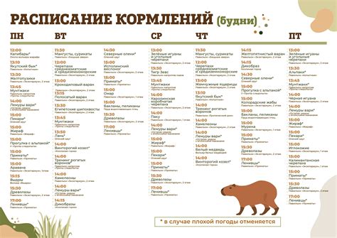 Неправильное расписание кормления