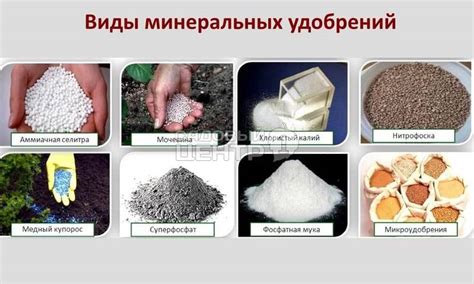 Неправильное удобрение и недостаток минеральных веществ