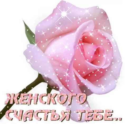 Неправильный выбор грунта: как это влияет на здоровье женского счастья