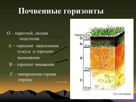 Неправильный состав почвы