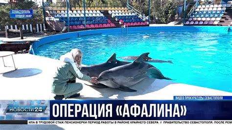 Неправильный температурный режим и его воздействие