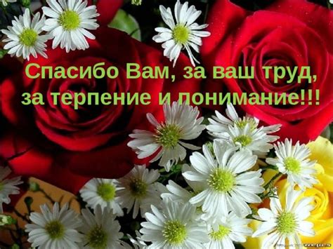 Непревзойденное терпение и понимание