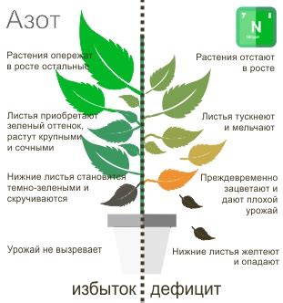 Нехватка азота
