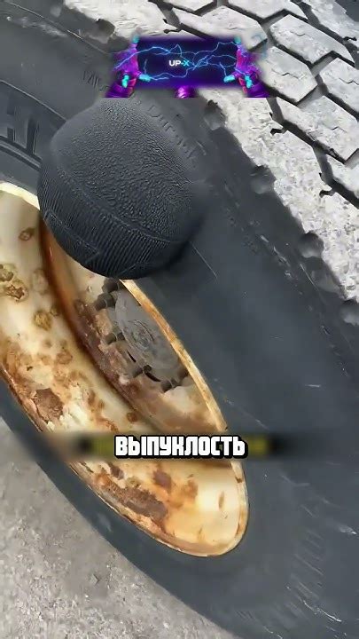 Не трогайте шишку