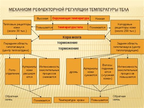 Низкая окружающая температура