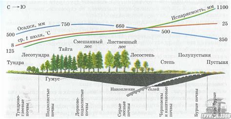 Низкая температура почвы