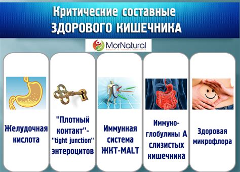 Низкий уровень желудочной кислоты
