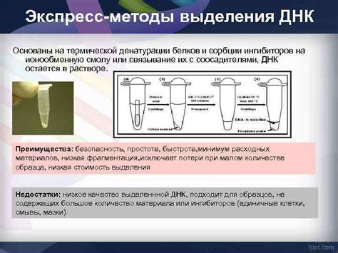 Новые методы анализа нуклеиновых кислот