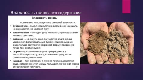 Обеспечение влажности почвы