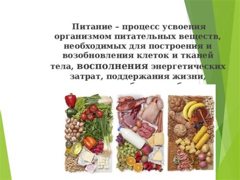 Обеспечение необходимых питательных веществ