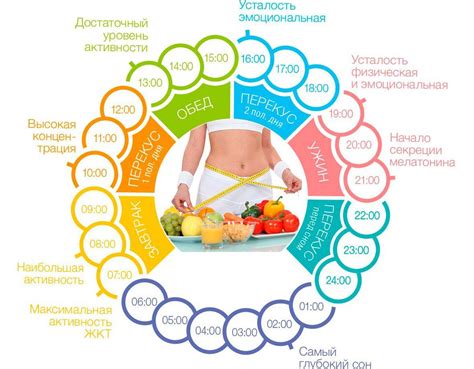 Обеспечение правильного питания