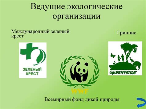 Обзор Международной экологической организации