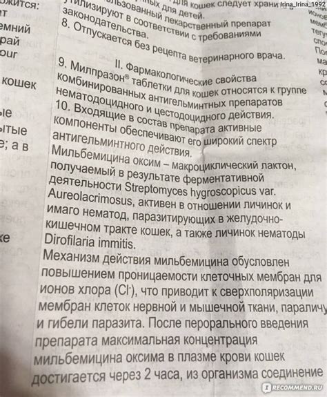Обзор инструкции