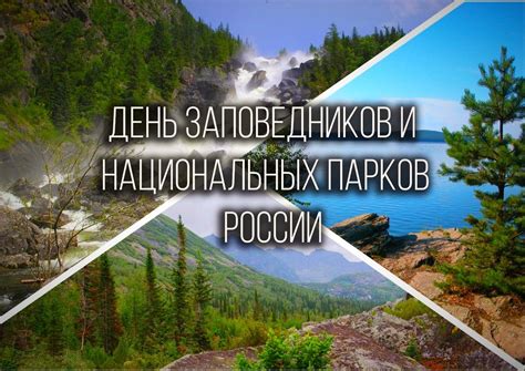 Обзор экологических парков и заповедников