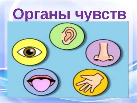 Облегчение восприятия информации для пассажиров