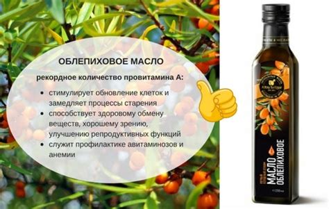 Облепиховое масло – эффективное средство против жуков