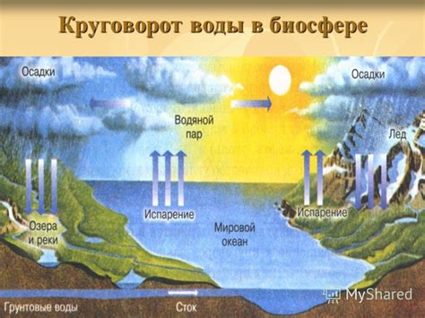 Образование инея в природных условиях и его роль в биосфере