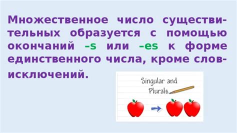 Образование множественного числа существительных