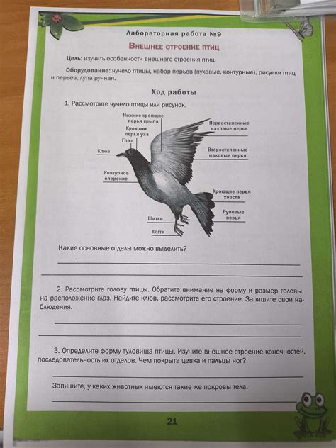 Обратите внимание на размер и разъемы