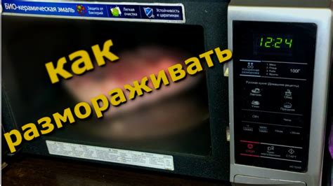 Обратная разморозка: как разморозить и использовать замороженную свеклу