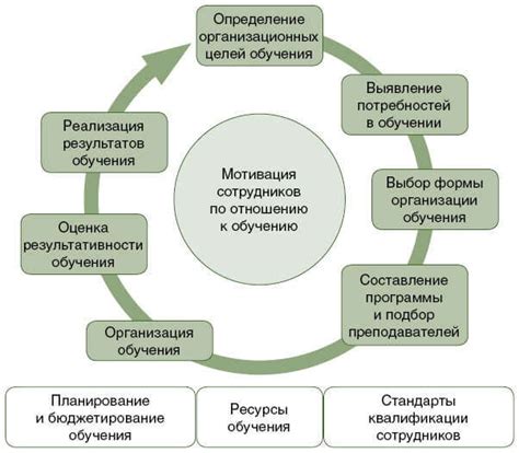 Обучение и самообучение: важные аспекты для успешной работы